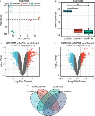 Integrated analysis of anti-tumor roles of BAP1 in osteosarcoma